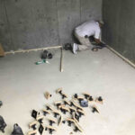 東京都大田区の戸建て住宅にて、地下で置床工事を行いました。（フリーフロアＥＰ）【秀和建工】